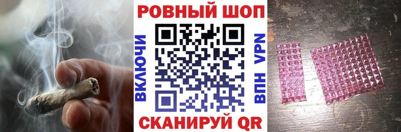  COCAIN Севск