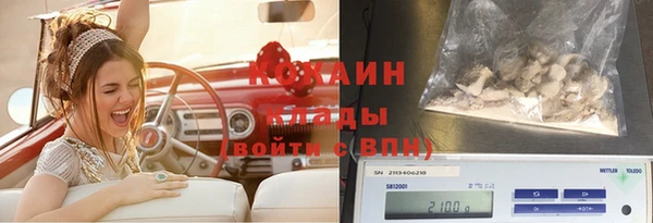 молекула духа Покачи
